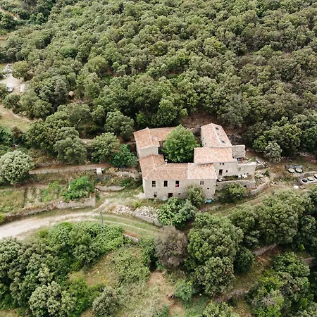 Le Puech, D'hotes En Cevennes Guest house *